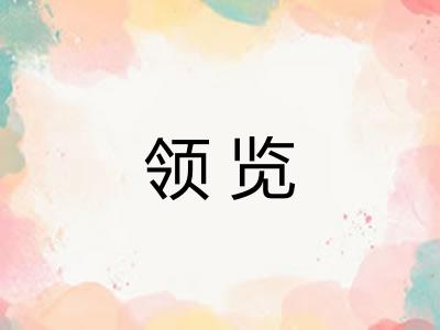 领览