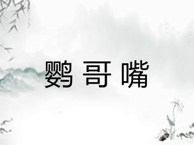 鹦哥嘴