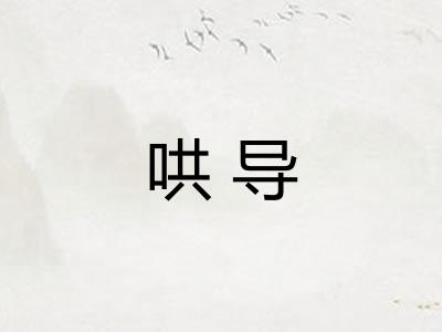 哄导