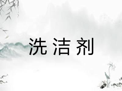洗洁剂