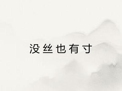 没丝也有寸