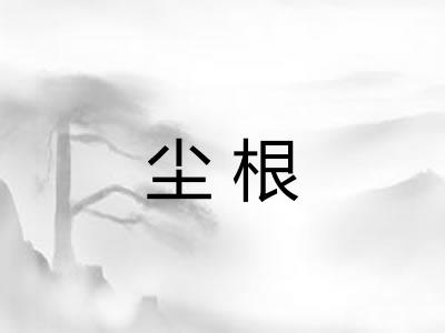 尘根 尘根