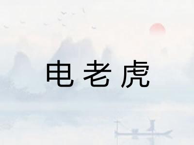 电老虎 电老虎