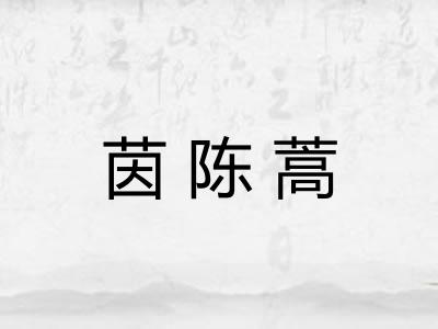 茵陈蒿 茵陈蒿
