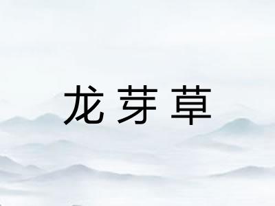 龙芽草 龙芽草