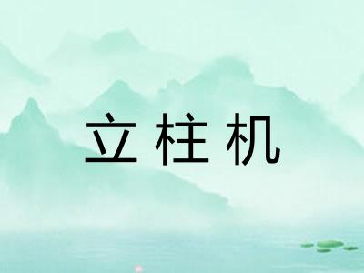 立柱机 立柱机