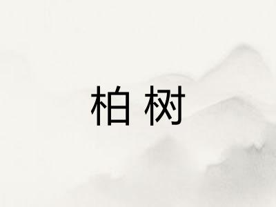 柏树 柏树