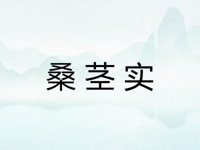 桑茎实