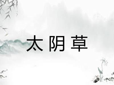 太阴草 太阴草