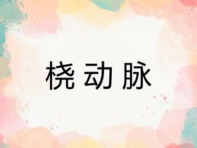 桡动脉