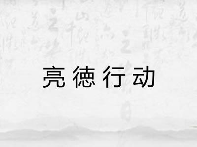 亮徳行动 亮徳行动