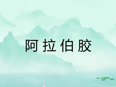 阿拉伯胶 阿拉伯胶