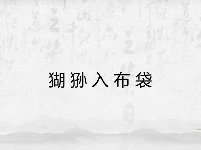 猢狲入布袋
