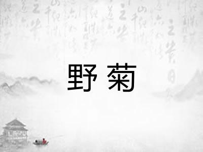野菊