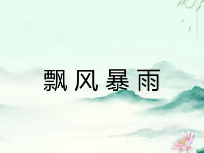 飘风暴雨