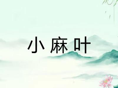 小麻叶
