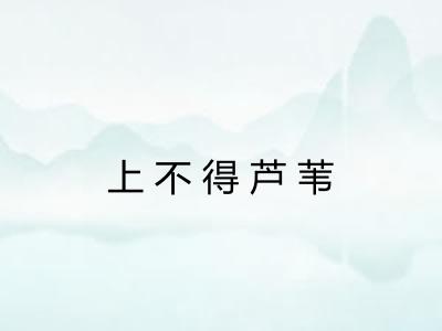 上不得芦苇
