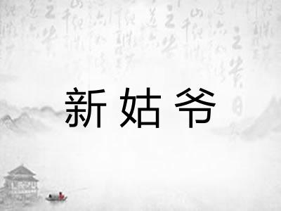 新姑爷