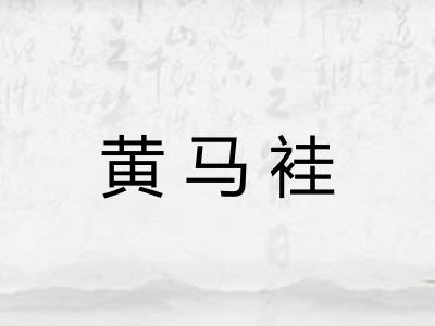 黄马袿