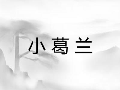 小葛兰 小葛兰