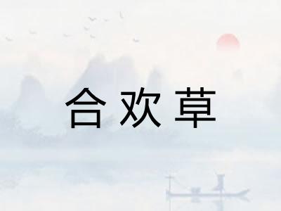 合欢草 合欢草