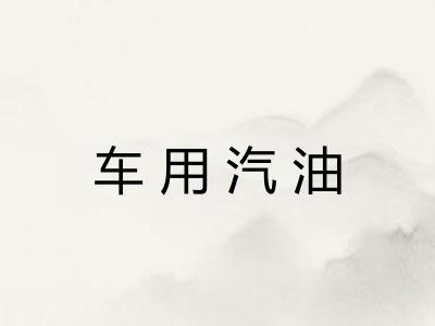 车用汽油 车用汽油