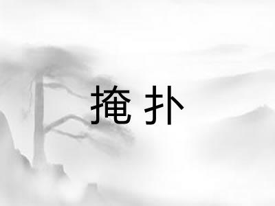 掩扑