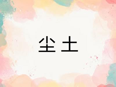 尘土