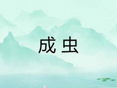成虫