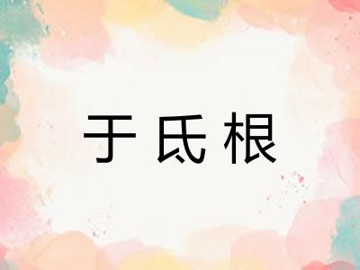 于氐根 于氐根