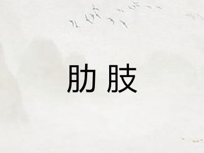 肋肢