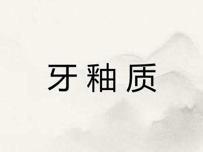牙釉质 牙釉质