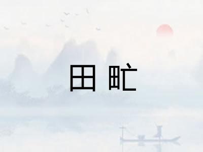 田甿