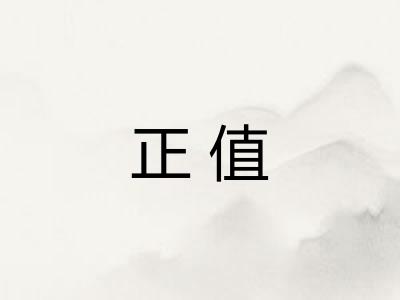 正值 正值