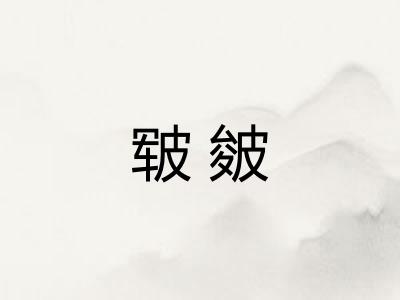 皲皴