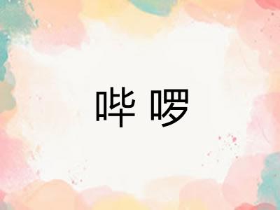 哔啰