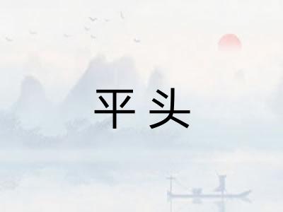 平头 平头