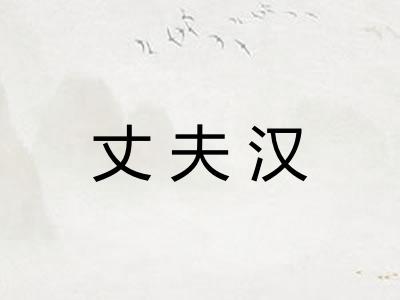 丈夫汉