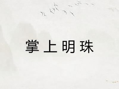 掌上明珠