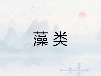 藻类