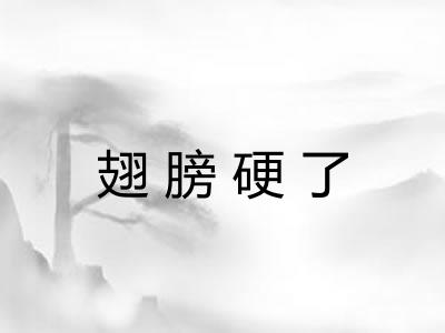 翅膀硬了 翅膀硬了