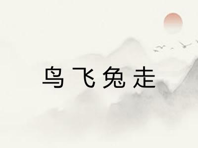 鸟飞兔走