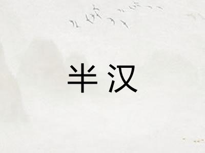 半汉