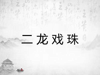 二龙戏珠 二龙戏珠
