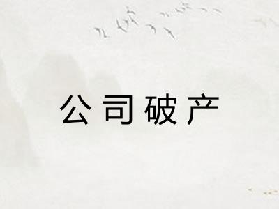 公司破产 公司破产