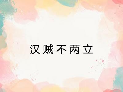 汉贼不两立