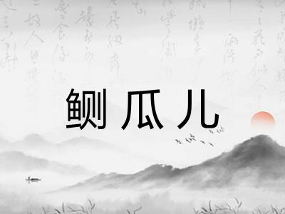 鲗瓜儿 鲗瓜儿