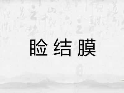 睑结膜