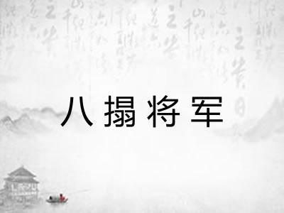 八搨将军