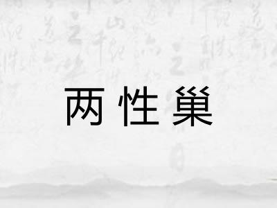 两性巢